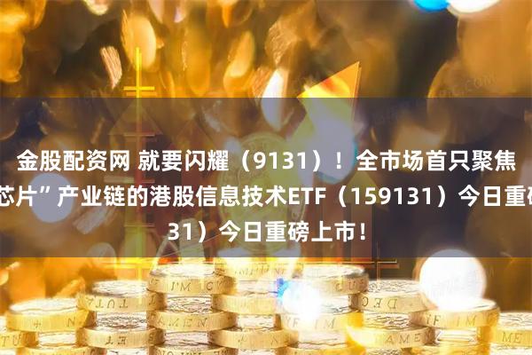 金股配资网 就要闪耀（9131）！全市场首只聚焦“港股芯片”产业链的港股信息技术ETF（159131）今日重磅上市！