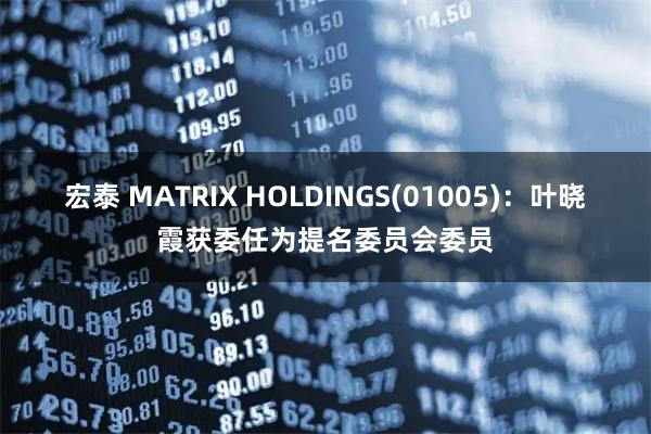 宏泰 MATRIX HOLDINGS(01005)：叶晓霞获委任为提名委员会委员