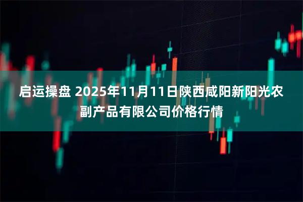 启运操盘 2025年11月11日陕西咸阳新阳光农副产品有限公司价格行情