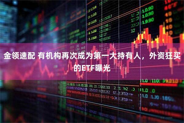 金领速配 有机构再次成为第一大持有人，外资狂买的ETF曝光